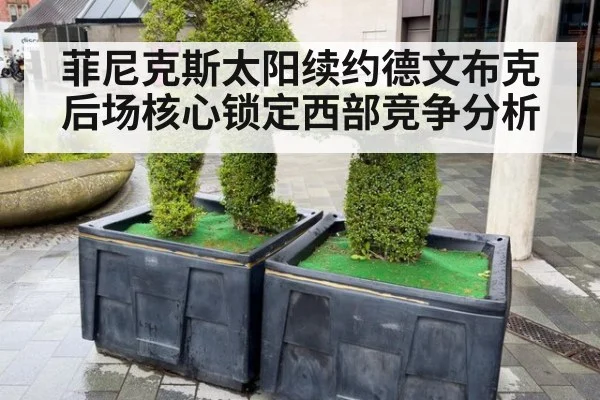 菲尼克斯太阳续约德文布克后场核心锁定西部竞争分析（nine game）