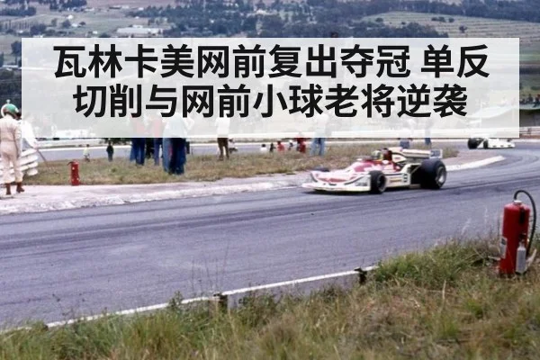 瓦林卡美网前复出夺冠 单反切削与网前小球老将逆袭（nine game）