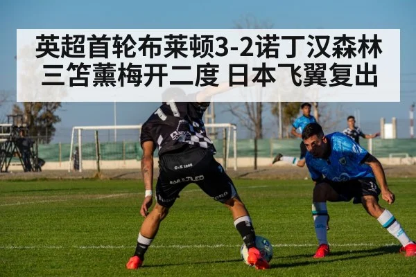 英超首轮布莱顿3-2诺丁汉森林 三笘薰梅开二度 日本飞翼复出（nine game）