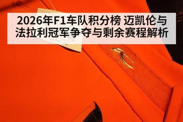 2026年F1车队积分榜 迈凯伦与法拉利冠军争夺与剩余赛程解析（nine game）