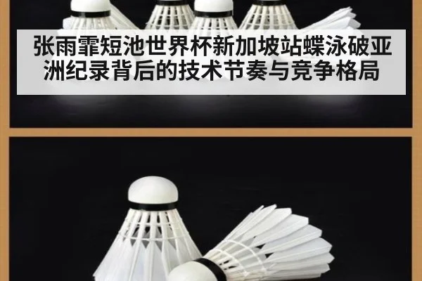 张雨霏短池世界杯新加坡站蝶泳破亚洲纪录背后的技术节奏与竞争格局